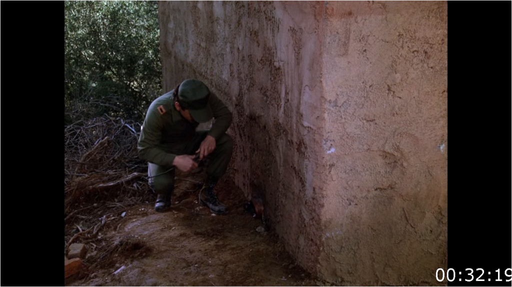 [Image: 6d53x7zjwhjb.png]