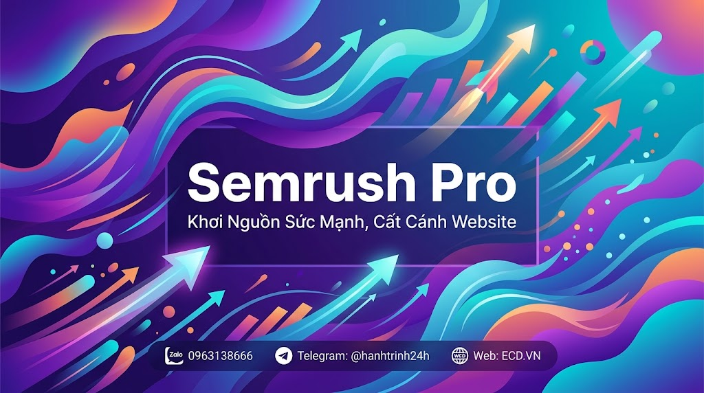 semrush pro transfer