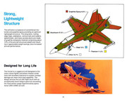 McDonnell FA-18 Hornet24