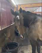 9560CB29-BDB8-4A03-8135-F3E33B9AB141