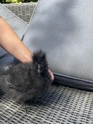 0A8F22C0-FE99-424C-ADCA-D9AF982D87F2