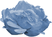 0_17d486_99d08456_X5L