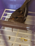 photo_2022-10-10_23-09-03