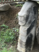 IMG-8353