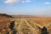 IMG-0267