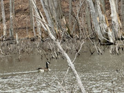 IMG-0899