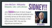 McCain FlySidFly