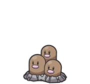 dugtrio