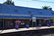 DSC-0110