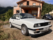 IMG-2481