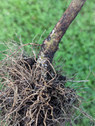 PXL_20240718_134725931