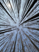 mmexport1677398873855