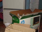 43.2.terror groupie's kids II