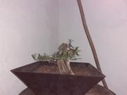 20191202-201107