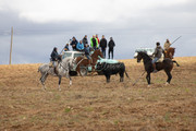 IMG-0061