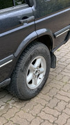 [Image: 485-ED6-FE-BC6-B-4-C22-BDD0-7-E507-DFCABEF.jpg]