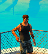 Emote La main sur le holster 