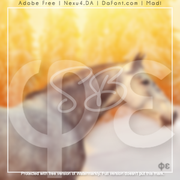 Untitled275_20221205202756