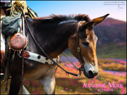 A guiding mule by heretic