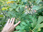 9AD02E59-24C2-4383-9215-947977826B6F