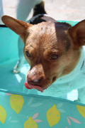 IMG-20250628-WA0002