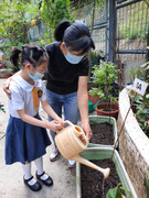 photo-littlefarmer2223-1A-020