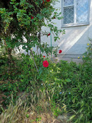 1747912067044-01.jpg