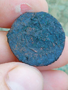 Picture_20230810081825