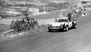 Targa Florio (Part 5) 1970 - 1977 - Page 7 1975-TF-55-Radicella-Tambauto-006