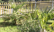 IMG-4593