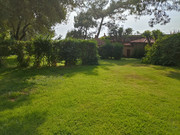 IMG-20230526-173157.jpg