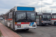 IMG-3114