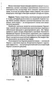 Shyem-shtory-i-podushki-Darya-Kostina-33
