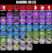 gliders-comp