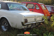 IMG-3394