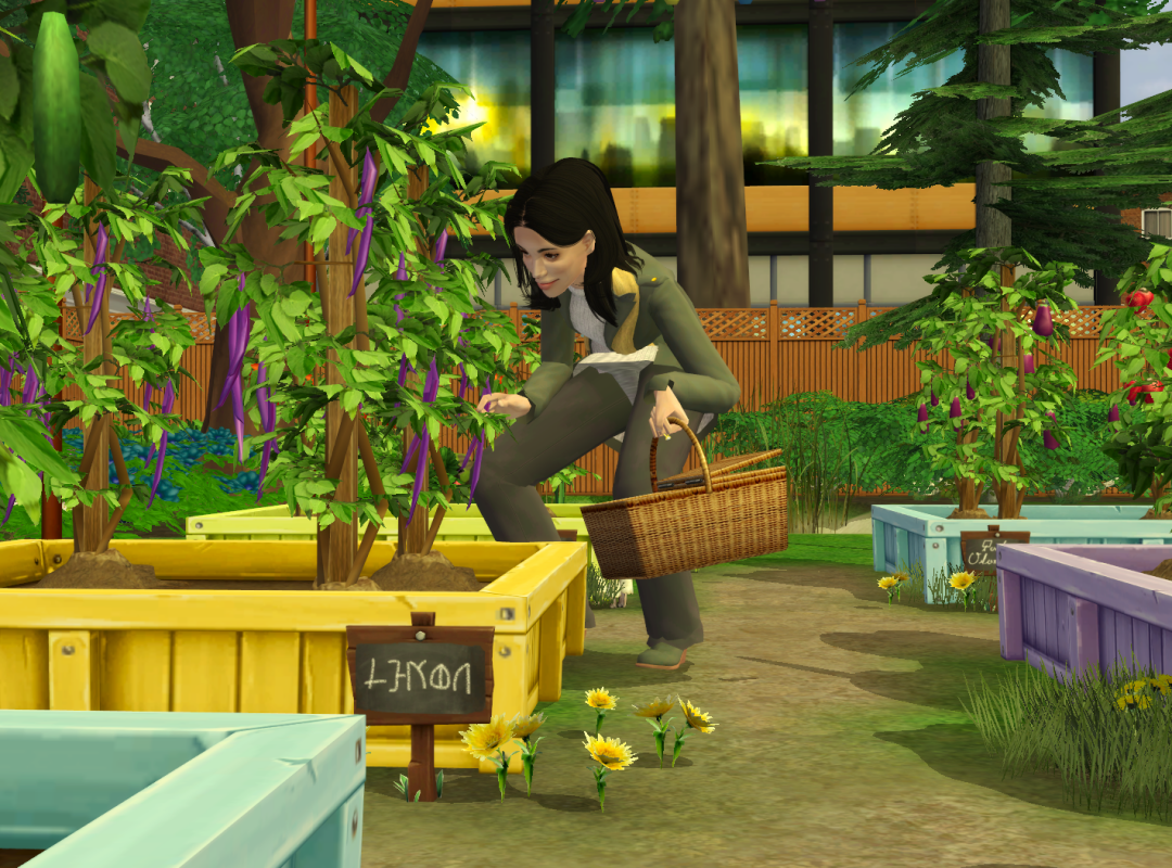 Sims2-EP9-RPC-2023-06-09-20-57-44-77