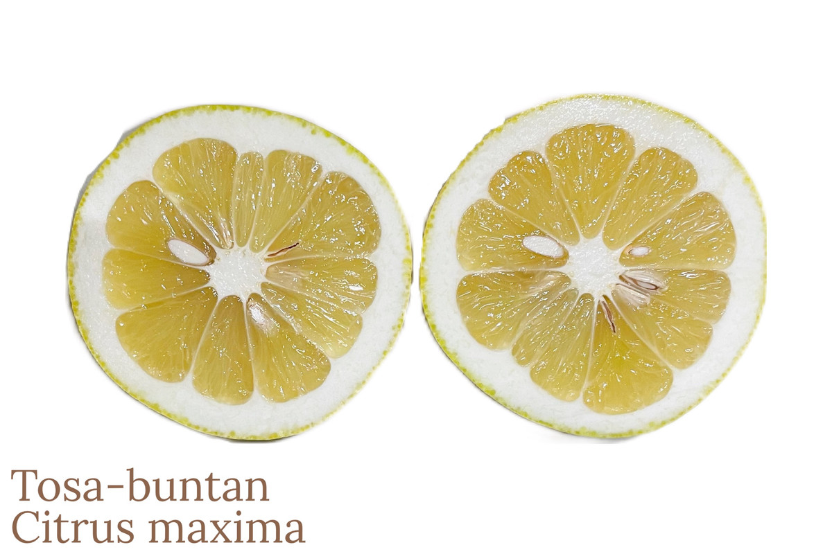 98BA1819-DE92-4B16-B444-9B6DE5562B75