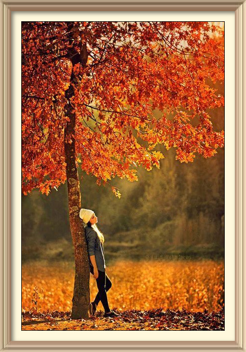 imageedit_16_8138773513