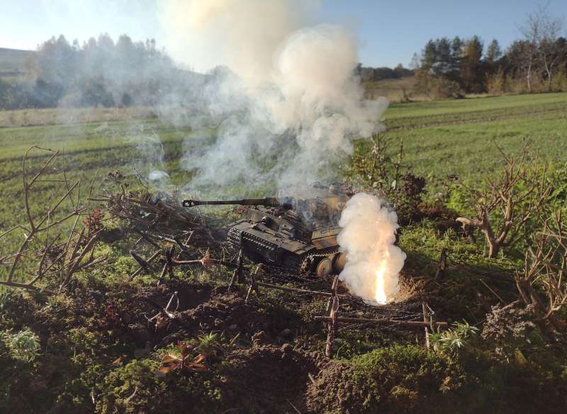 IMG_20241024_153830860_BURST006