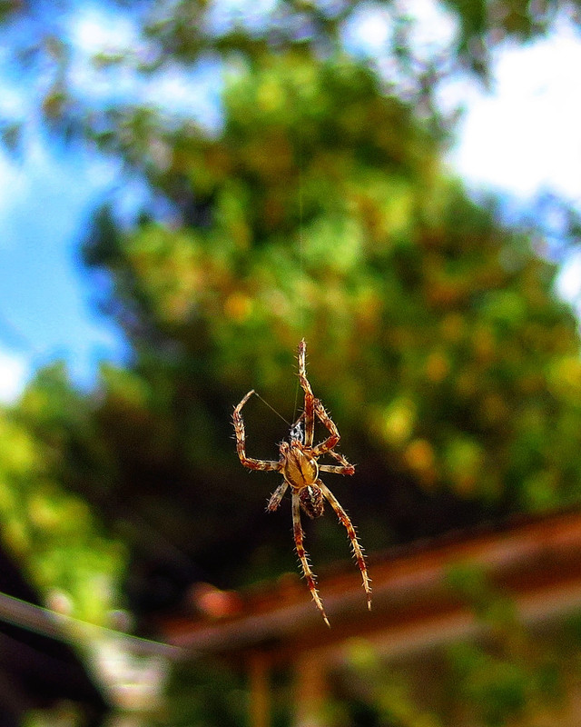 IMG_20191011_120432_427