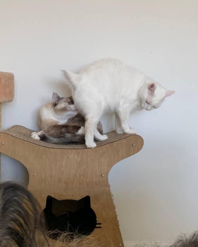 C7BCAB27-B1A6-4A9D-88BC-CBD84E0E422C