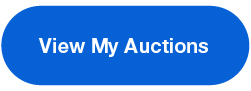 View My Auctions