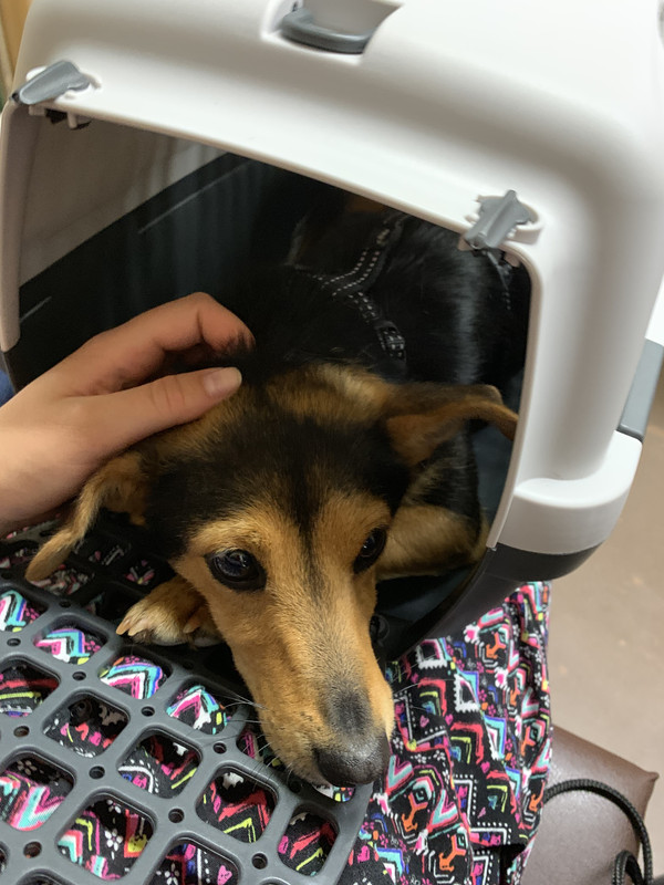 E097B165-4C18-42B9-B4F6-00192F180297