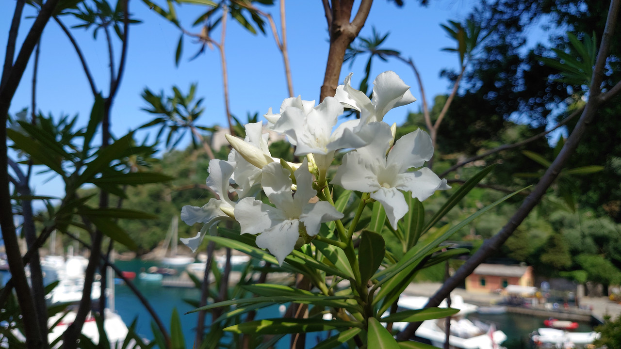 DSC-1551.jpg