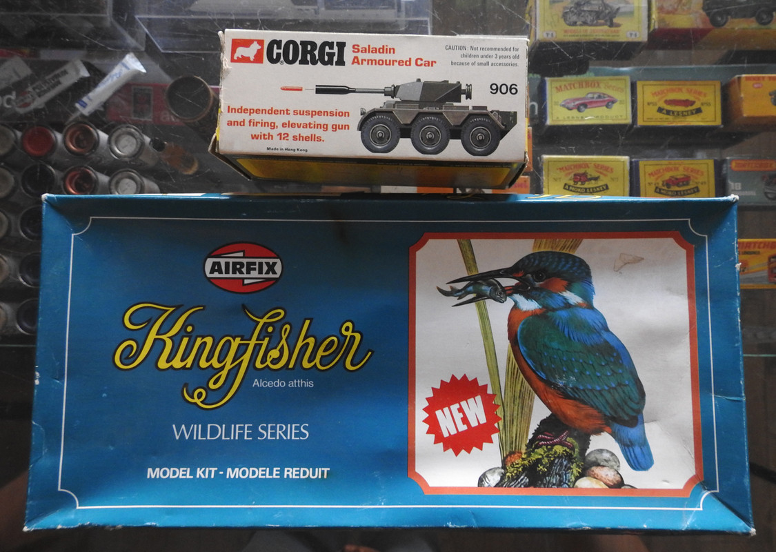 Kingfisher