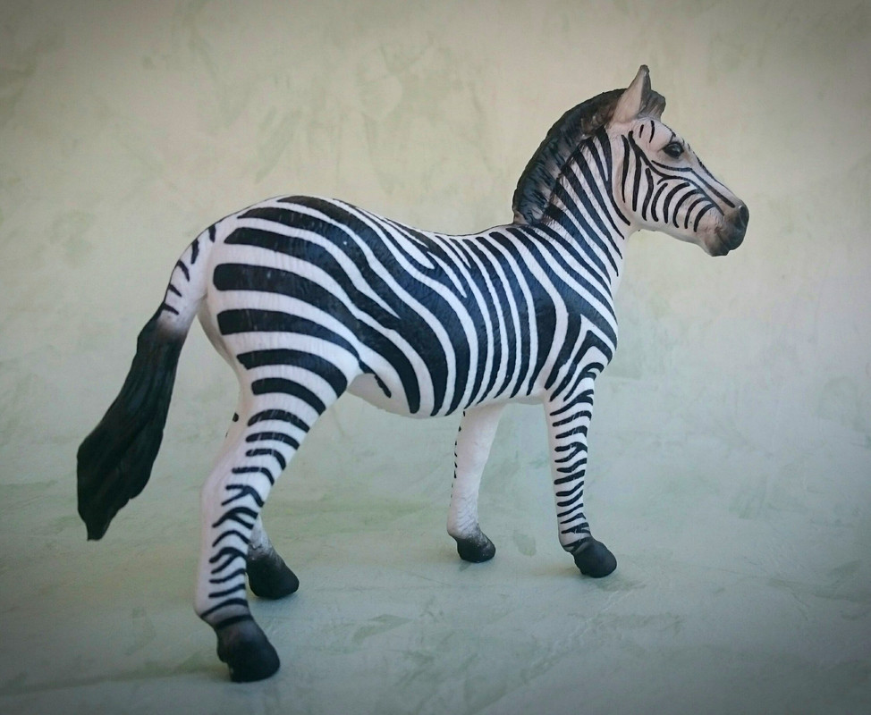 Mojo 2020 - Zebra and foal 20200627-132921