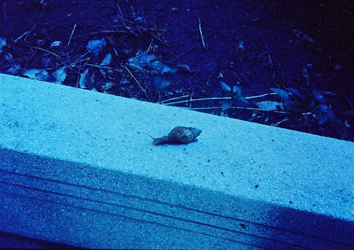 Vision3HFJun23_64_crop