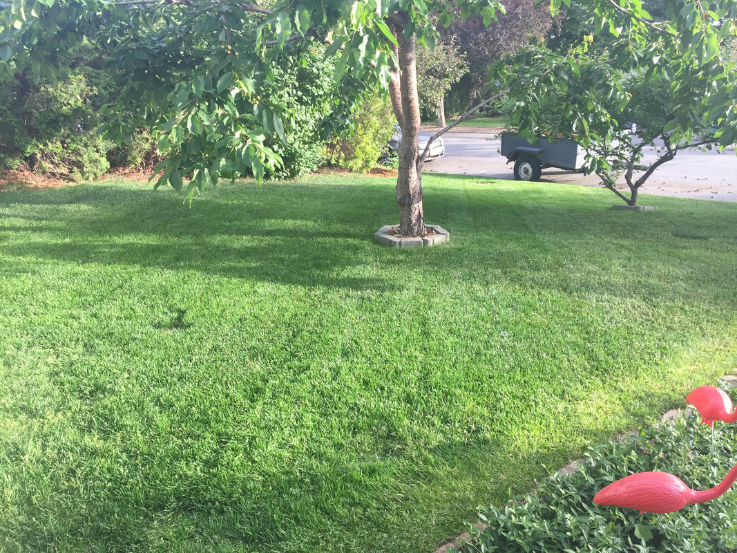 1AB2F883-0572-4D60-99FE-AED429450CA1