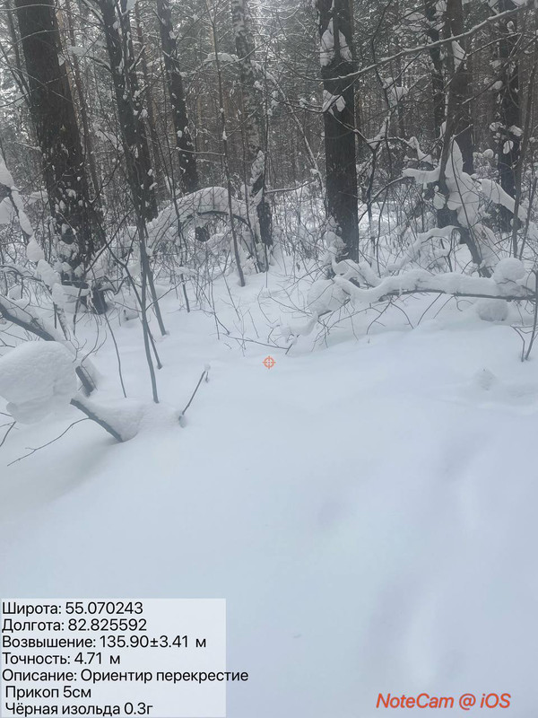 photo 2026 01 24 11 34 39