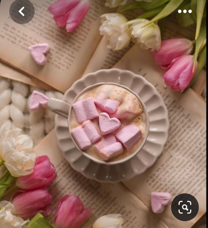 Screenshot_20230517_005953_Pinterest